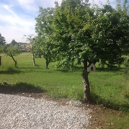 Holiday home Casale Le Burle *