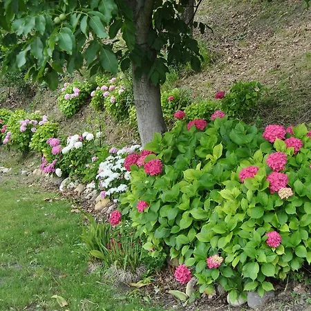 Holiday home Casale Le Burle *